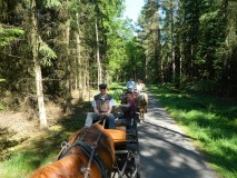 k-Pfingstfahrt-Springhorn-166