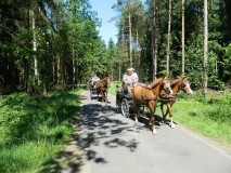 k-Pfingstfahrt-Springhorn-167