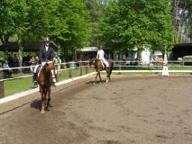 Reittunier-2011-020