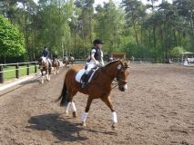 Reittunier-2011-023