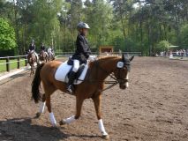 Reittunier-2011-024