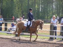 Reittunier-2011-025