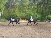 Reittunier-2011-028