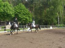 Reittunier-2011-029