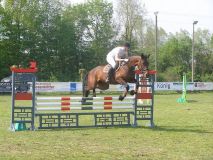 Reittunier-2011-032