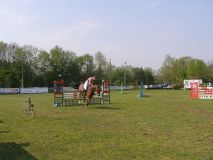 Reittunier-2011-033
