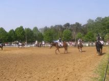 Reittunier-2011-038