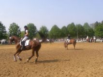 Reittunier-2011-039