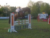 Reittunier-2011-047