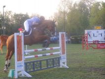 Reittunier-2011-048