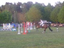 Reittunier-2011-049
