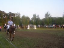 Reittunier-2011-051