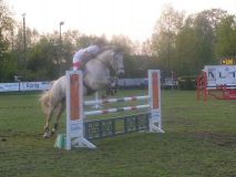 Reittunier-2011-053