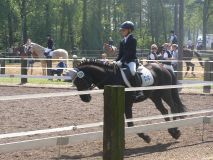 Reittunier-2011-097
