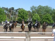 Reittunier-2011-101