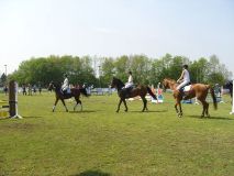 Reittunier-2011-105