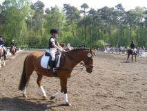 Reittunier-2011-110
