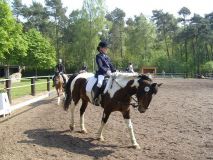 Reittunier-2011-111