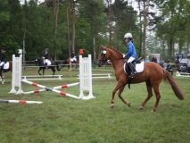 reittunier_2014101_20140510_2054220137