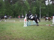 reittunier_2014103_20140510_1012936835