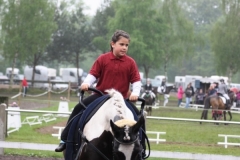 reittunier_201429_20140510_1748861134