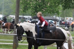 reittunier_201430_20140510_1873277284