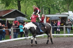 reittunier_201439_20140510_1532390287