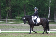 reittunier_201443_20140510_1604678357