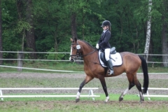 reittunier_201444_20140510_1465018704