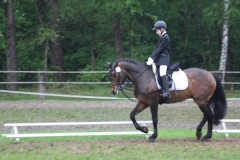 reittunier_201446_20140510_1518253588