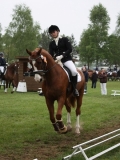 reittunier_201472_20140510_1150752890