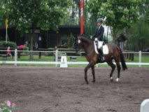 reittunier_201481_20140510_1774445031