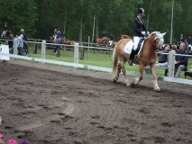 reittunier_201482_20140510_1419566178