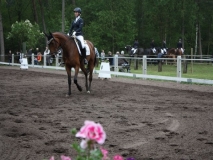 reittunier_201483_20140510_1556470241