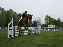 reittunier_201486_20140510_1012560946