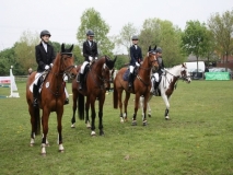 reittunier_201490_20140510_1330922140