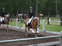 reittunier_201492_20140510_1147682799