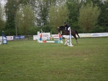 reittunier_201497_20140510_2026741168