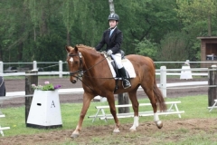 reittunier_201428_20140510_1735509955