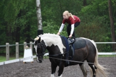 reittunier_201433_20140510_1116479713