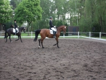 reittunier_201451_20140510_1654990657