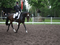 reittunier_201452_20140510_1430685827