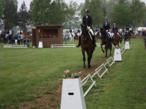 reittunier_201455_20140510_1369905733