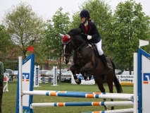 reittunier_201461_20140510_1967612677