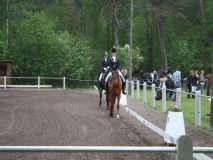 reittunier_201467_20140510_1318157787