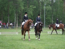 reittunier_201468_20140510_1842811721