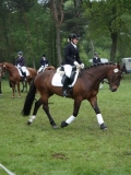 reittunier_201478_20140510_1429900216