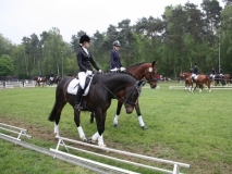 reittunier_201479_20140510_1850316484