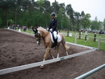 reittunier_201491_20140510_1878156736