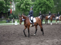 reittunier_201493_20140510_1006494846
